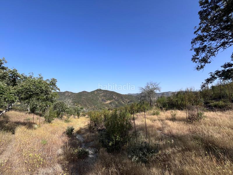 Foto 213c8bf8-7702-4b17-855f-a66b2a0b9c8d. Fondo rustico in Aracena