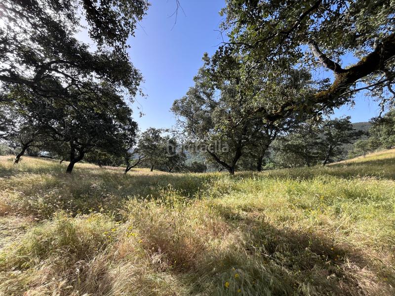 Foto 49eb8836-edb2-4b32-9a24-c012c4ca90b7. Fondo rustico in Aracena