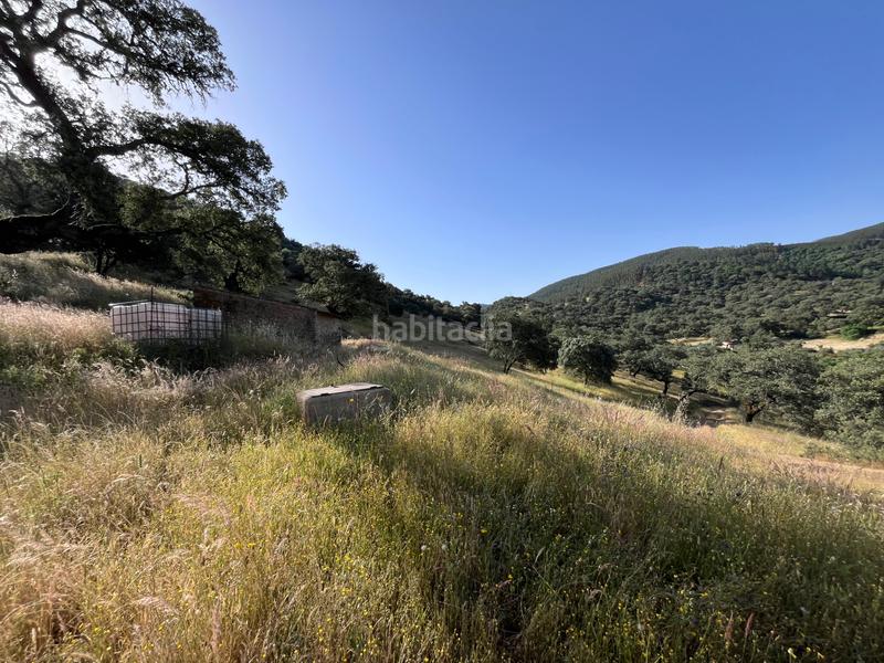 Foto b9b23a03-497e-4642-9983-1669316497fa. Fondo rustico in Aracena