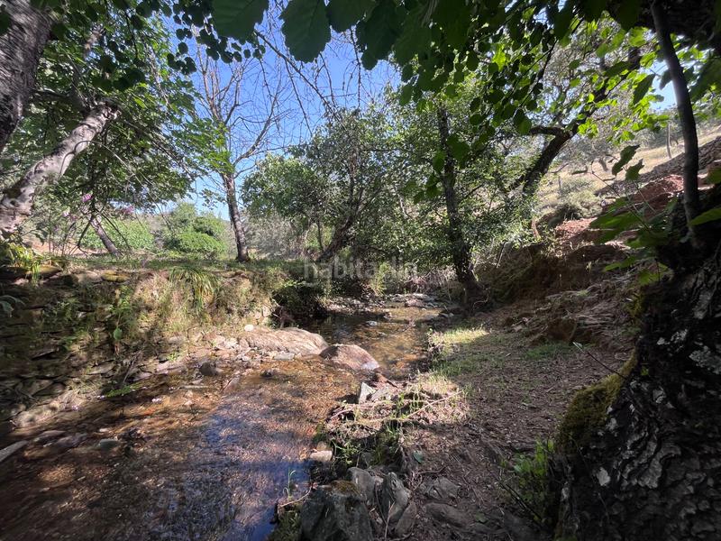 Foto c28390ed-9466-401d-8de1-f954e05c8d9c. Fondo rustico in Aracena