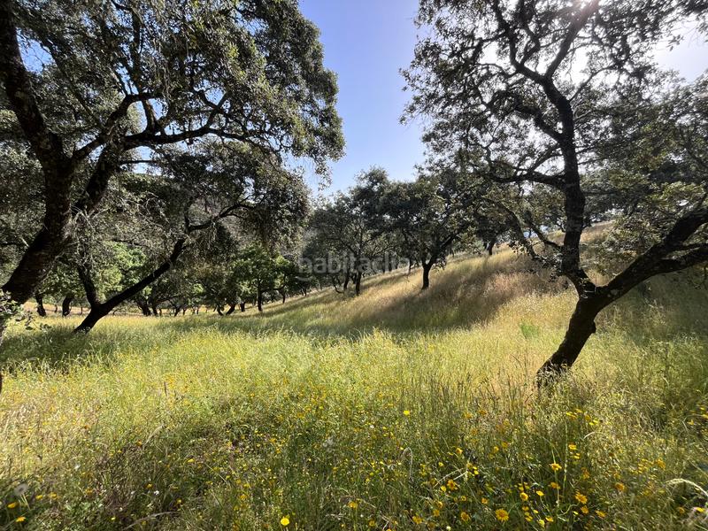 Foto ee8b66ae-e48e-40f8-914e-68475ab47b18. Fondo rustico in Aracena