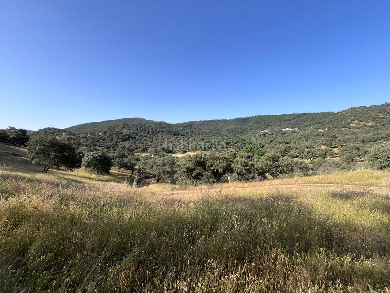 Foto f39e3bfb-63a5-4738-87c1-dbd297c7cac2. Fondo rustico in Aracena