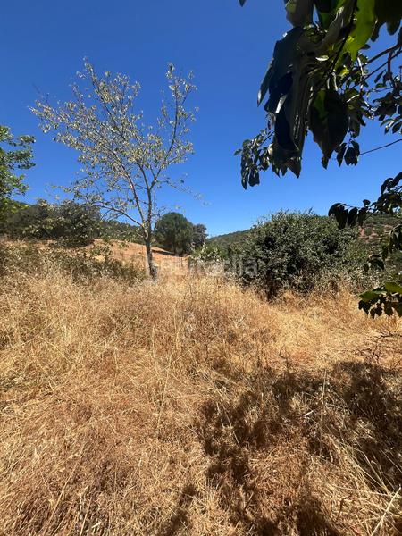 Foto 741b19c5-f479-414f-90fe-199b31af1f6f. Maison jumelée dans n/a dans Cortegana