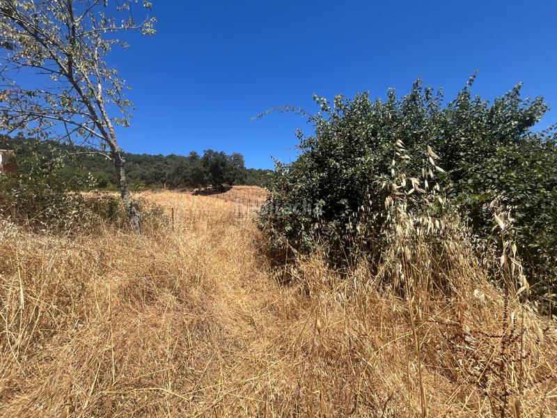 Foto ef54e6a3-80f6-4400-b61d-75e8ea62ca26. Maison jumelée dans n/a dans Cortegana