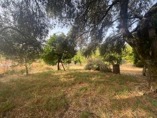 Mas  N/a. Venta de finca rústica en linares de la sierra