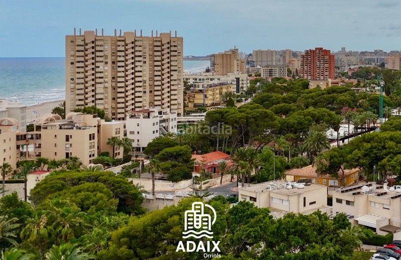 Foto 3dfa9cda-8ee1-47ff-8f15-c91d92de4ef2. Casa bifamiliare in carrer de gijon 3 in Playa Muchavista Campello (el)
