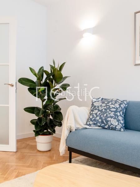 Foto 816d3225-35fd-4cef-bc5f-1f7bdf949d87. Affitto piccolo appartamento in calle de san bernardo 107 in Madrid