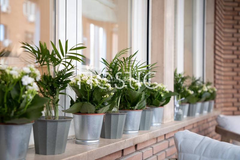 Foto b87bb456-c112-4bce-9bf9-67f269e819d0. Miete appartement in calle de san bernardo 107 in Madrid