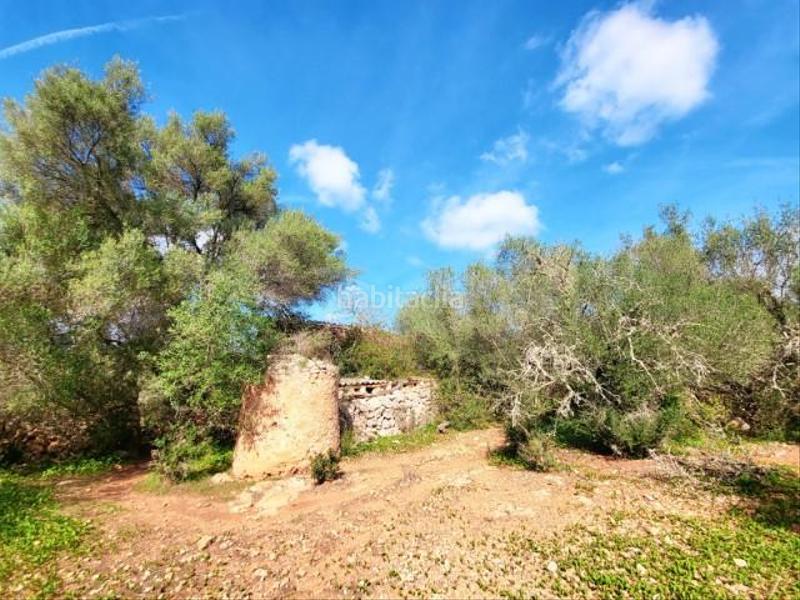 Foto 22752908-f77b-4be9-8ab8-8ea383ff84a9. Terreny residencial a Costitx