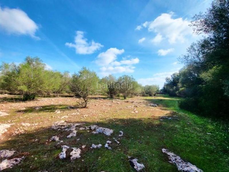 Foto 7d8fcb84-6f88-47b1-811c-17945e6f90e1. Terreny residencial a Costitx
