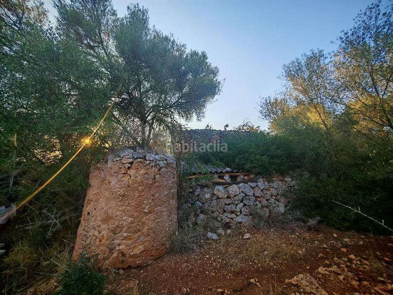 Foto d6b2e854-ef5f-481e-8f0f-ecf738256f44. Terreny residencial a Costitx