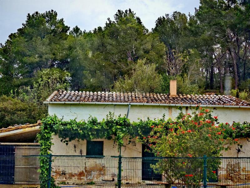 Foto 1c4a6aff-7e11-406c-a48f-be698700fdd6. Casa in Calvià poble Calvià