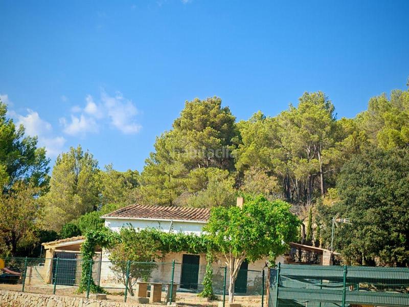 Foto 9b64de1e-76fe-47a0-8956-07537e778024. Casa in Calvià poble Calvià