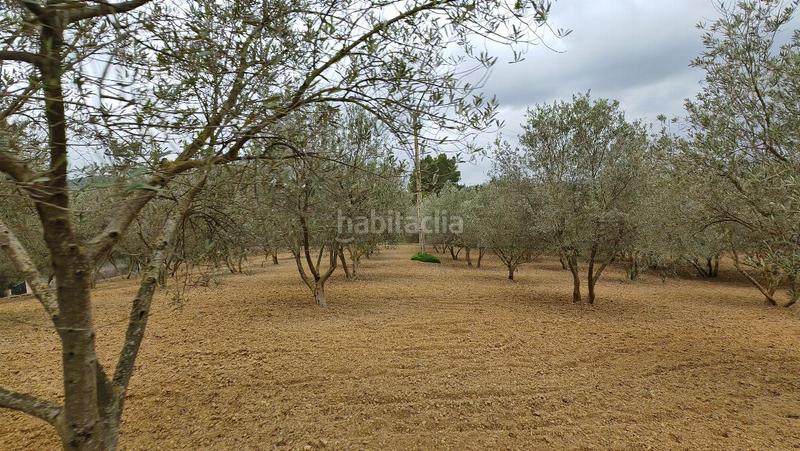 Foto b812c285-b298-4fd8-9c12-a1708ade37fc. Casa in Calvià poble Calvià