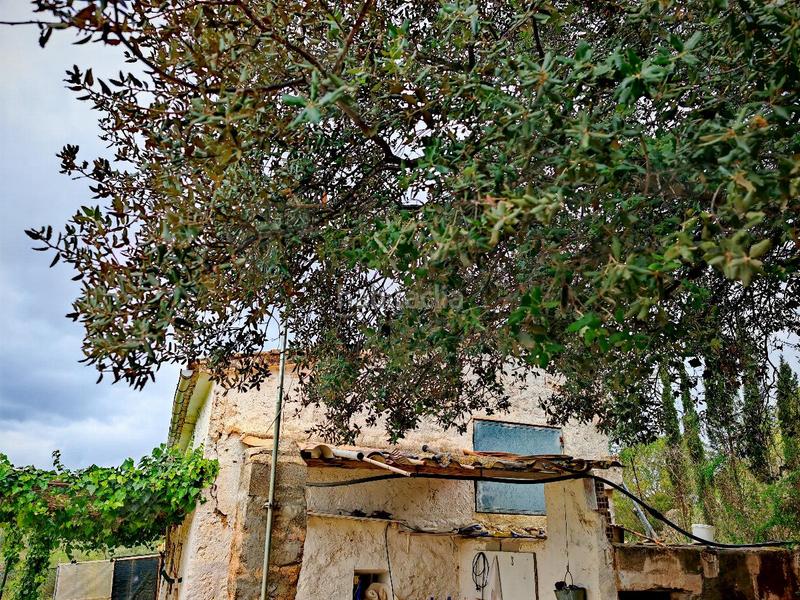 Foto e3c1445d-bf83-4b41-954a-198fb89342c7. Casa in Calvià poble Calvià