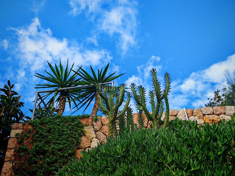 Foto be7ada4e-8707-44dc-8fdc-928497147f2d. Maison avec chauffage piscine dans Alaró