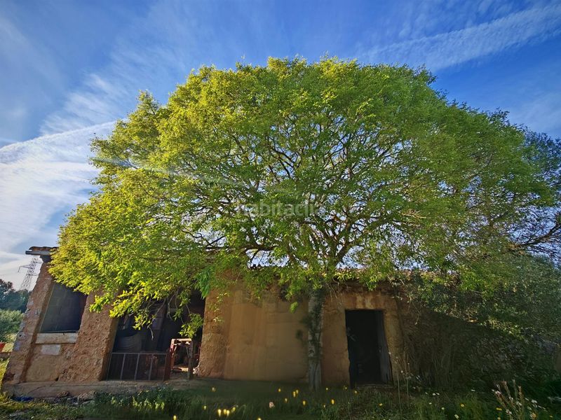 Foto 3a00a4c1-7766-4fc3-890a-fb669ed445e4. Masia a Costitx