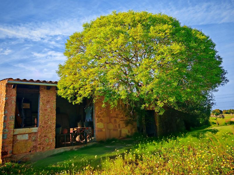 Foto 85e8d2a0-f6c7-4735-bab7-2662d1a6b73d. Masia a Costitx