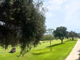 Pis en Calle 3 20. Piso en venta en hoyo 15, guadalmina baja