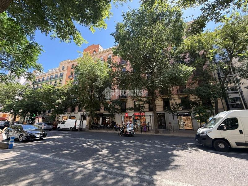 Foto 3b40bc82-926f-41f0-b2f5-66c692134115. Pis a Goya Madrid