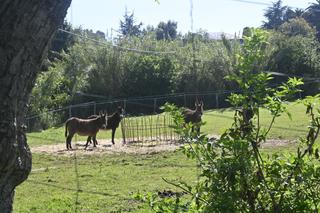 Residential Plot in Arnuero