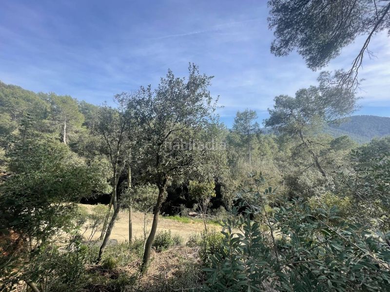 Foto 720ee059-a9da-4b50-93da-7c9507b01836. Finca rústica a Molins de Rei
