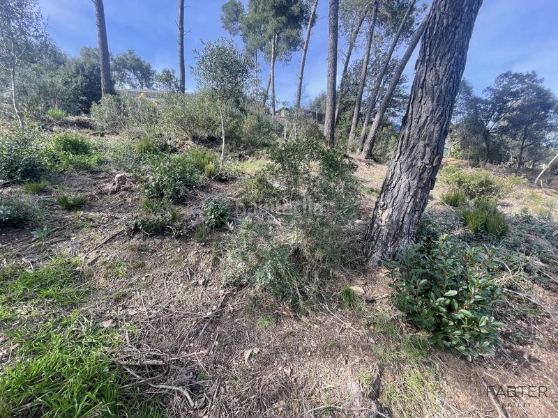 Foto aa1e5c7e-99a1-4e96-b897-9d03de49a5d5. Finca rústica a Molins de Rei
