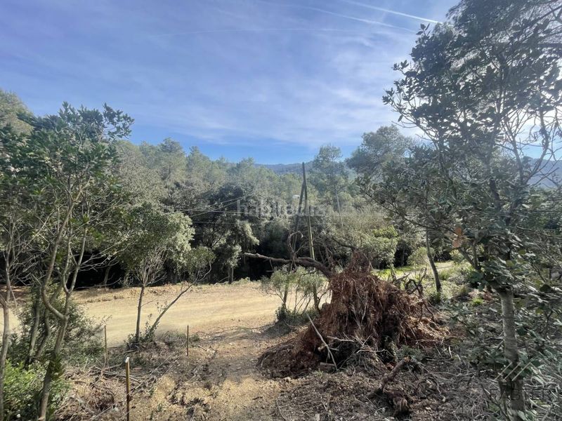 Foto f9907312-b7c3-4408-b44f-6017502c0ebd. Finca rústica a Molins de Rei