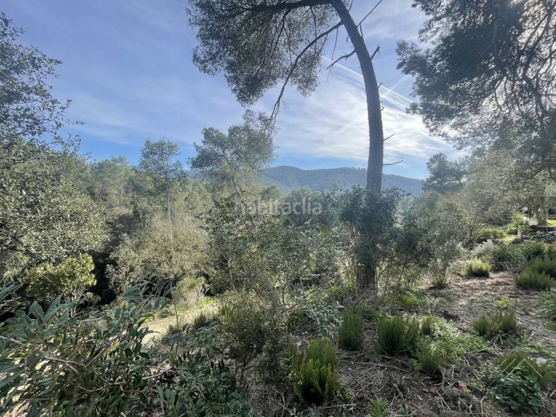 Foto fa2ba117-60c4-463f-a975-910c665e4c9e. Finca rústica a Molins de Rei