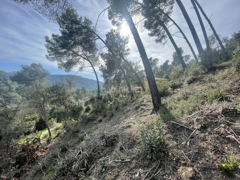 Foto ff43031a-a7c0-4bfe-af25-f26c727ee223. Finca rústica a Molins de Rei