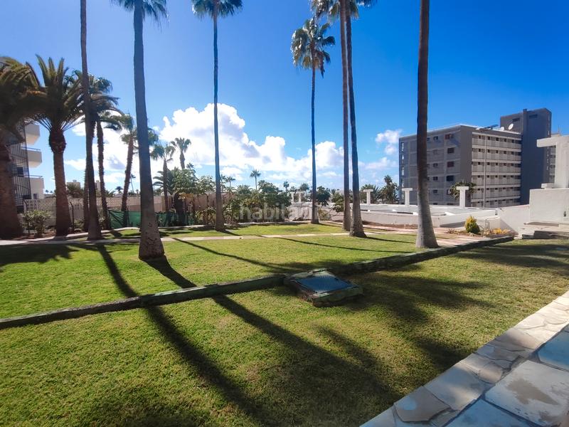 Foto 5834f5f5-6181-445c-9ed7-2b2edd1c9774. Piccolo appartamento con piscina in Playa de las Américas Adeje