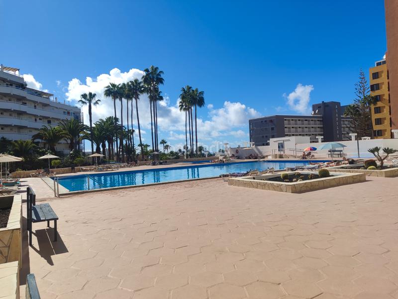 Foto 9a3d1aa2-19a5-4c9a-81a4-484cd2fb4b2b. Piccolo appartamento con piscina in Playa de las Américas Adeje