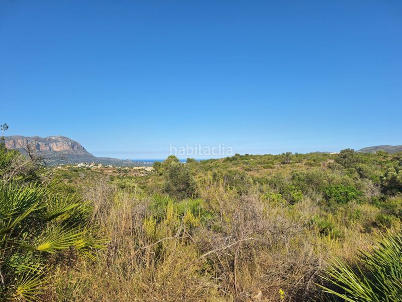 Foto 153e8526-3660-434b-9fba-2856d166246e. Terreny residencial a Centro Pedreguer