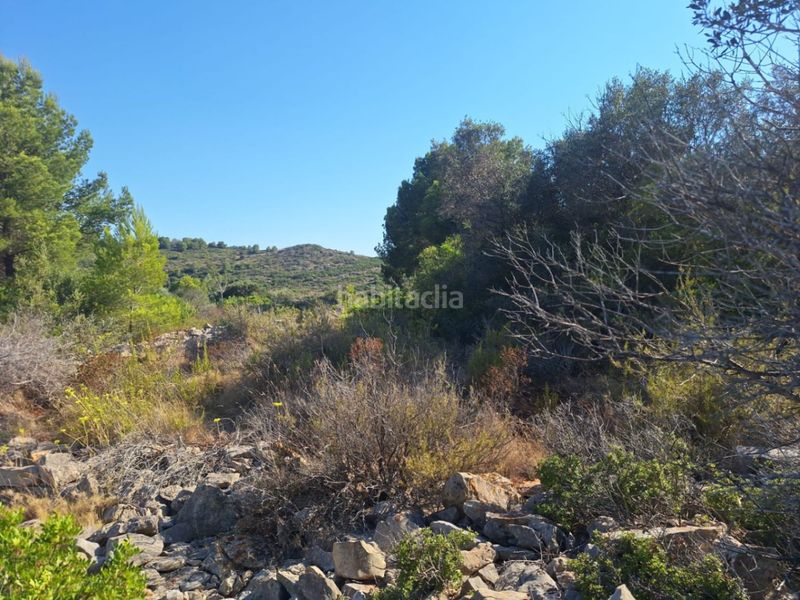 Foto 5364f070-107e-4a3e-9d79-a78a117e33c4. Terreny residencial a Centro Pedreguer