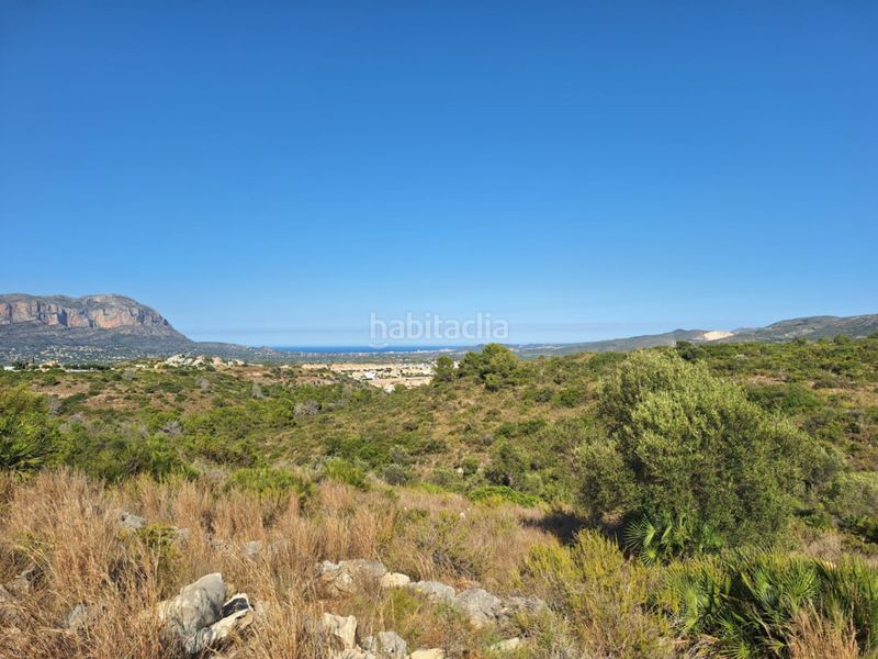 Foto adf382cc-9a29-4260-8ff6-05f93bbf01b6. Terreny residencial a Centro Pedreguer