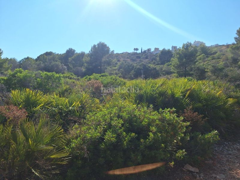 Foto b5b57428-64cd-41de-a4fc-b7fa1a92b18d. Terreny residencial a Centro Pedreguer