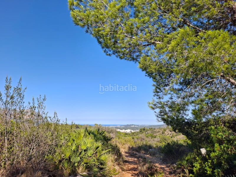 Foto c68696d1-09e4-4d5d-8d62-2fd30a8127d3. Terreny residencial a Centro Pedreguer