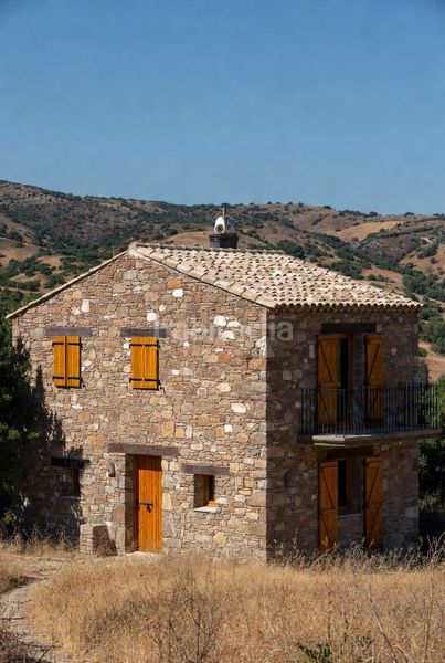 Foto d6040433-b1e7-4c4c-93a6-73277bf9ce8b. Terreny residencial a Centro Pedreguer