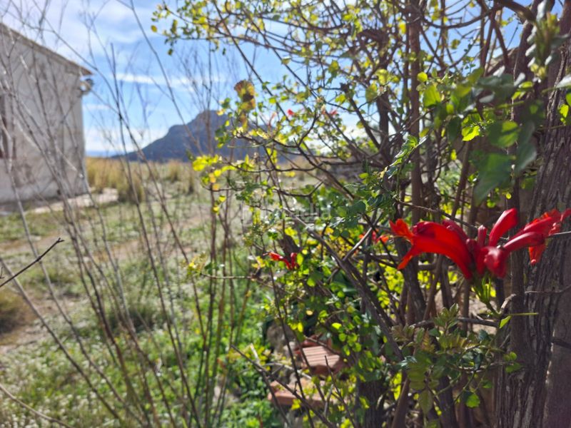 Foto 45fb4b87-bb4c-4840-8e2c-7fefb84f20a0. Terreny residencial a Benissa pueblo Benissa