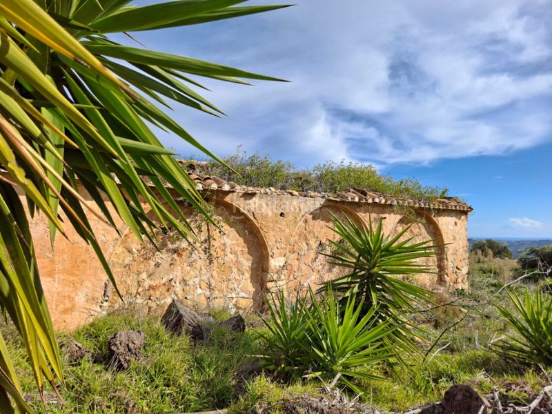 Foto 6bf5312c-c8a0-4ae7-a7cc-2f87ac3b377c. Terreny residencial a Benissa pueblo Benissa