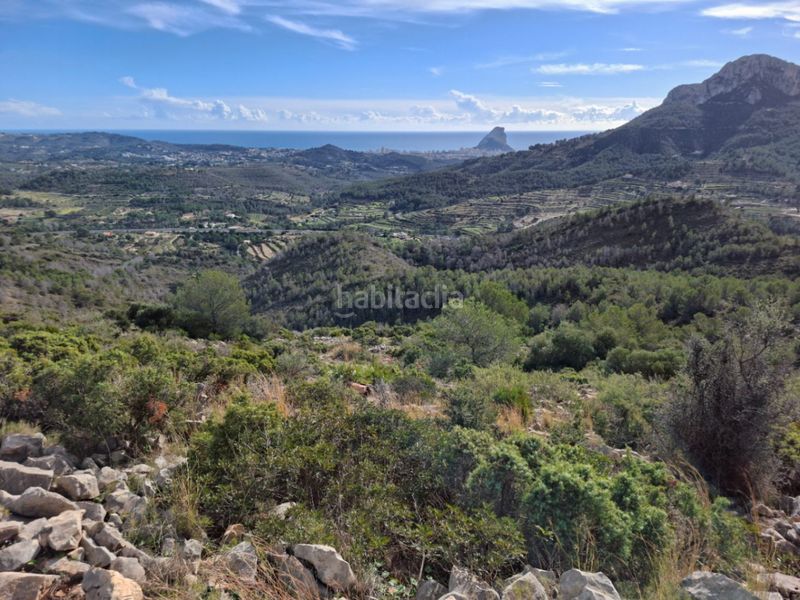 Foto 70ebf82e-9564-48ac-bcb4-e6dac8310506. Terreny residencial a Benissa pueblo Benissa