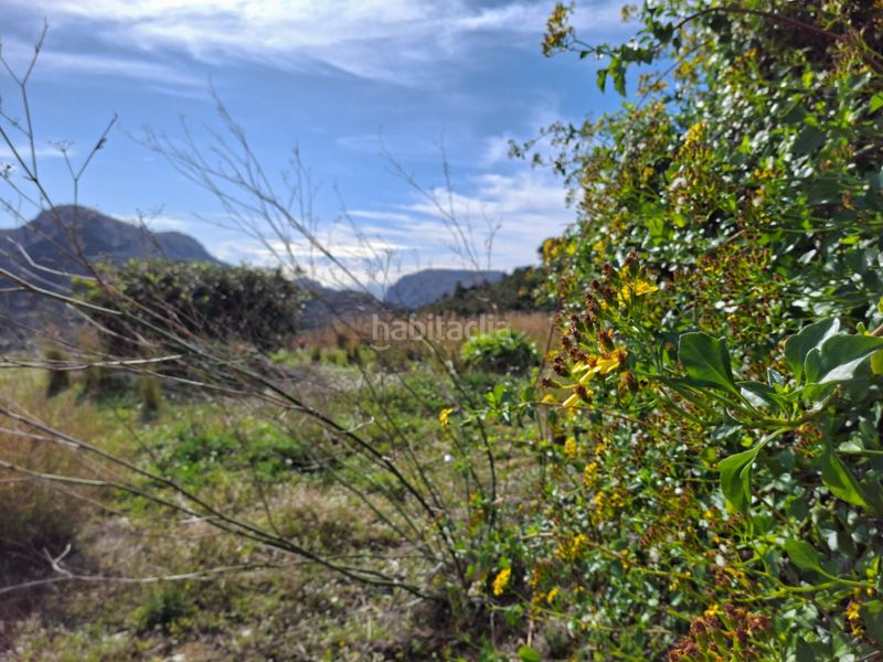 Foto 7413c611-4109-432b-b887-8d0e9cd8dadf. Terreny residencial a Benissa pueblo Benissa