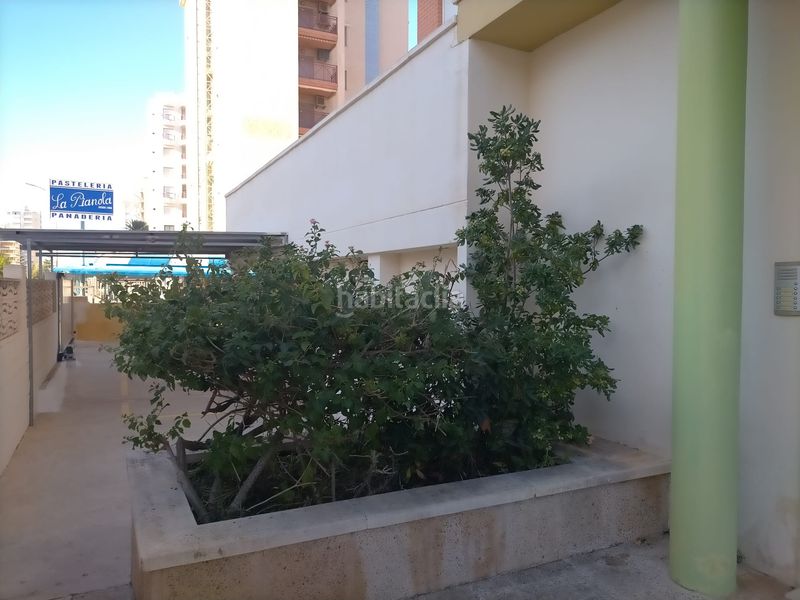 Foto 147d8c12-603e-448e-a261-96da6628ed5b. Apartament amb aparcament piscina a Playa de Gandía Gandia