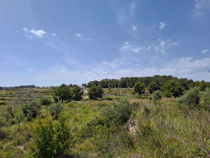 Foto ffba4781-b6b8-4d3d-b2ff-17baa120ac28. Terrain résidentiel dans Teulada