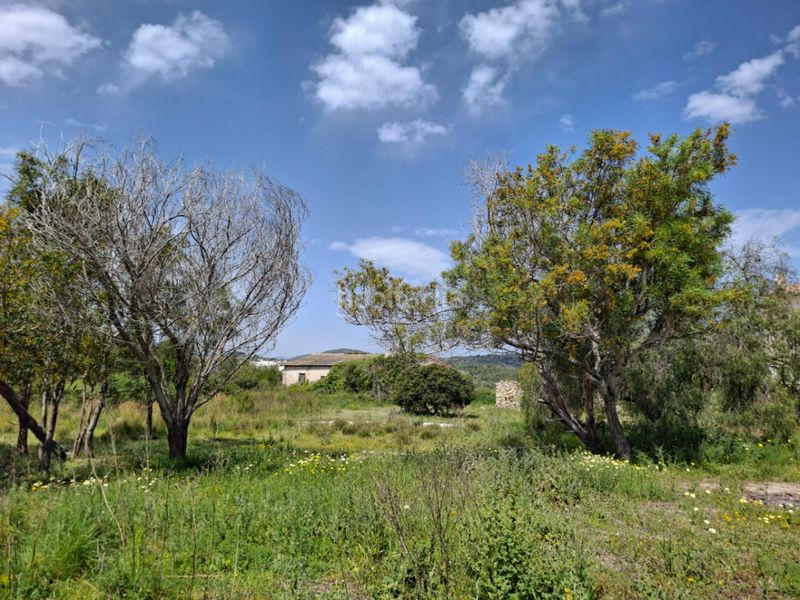 Foto 3e52d4bd-8d62-47bb-b0e1-34a1e08b3d3f. Masía en Teulada