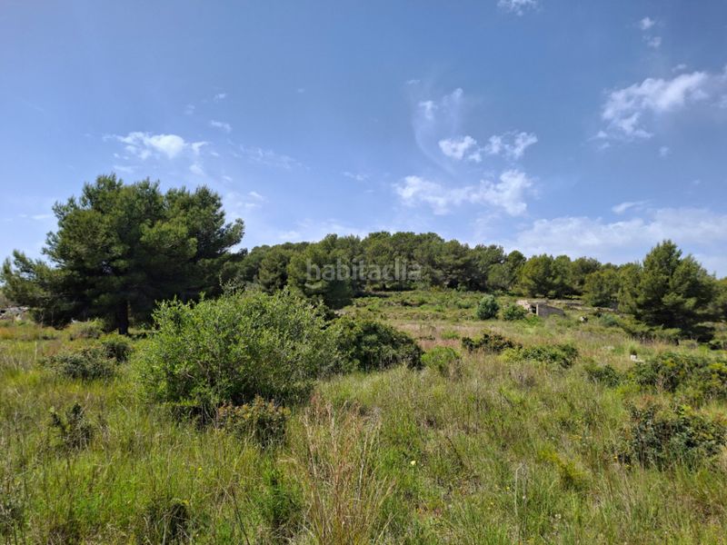 Foto a4c172d7-ae64-42c5-ab47-4e99bf9dd00d. Masía en Teulada