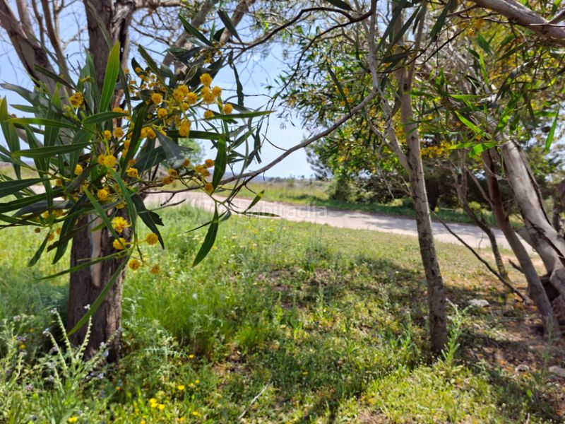 Foto e108773d-af32-40db-9a86-881299d483de. Masía en Teulada