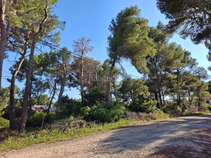 Foto fd7fc6c3-a6f8-4994-add0-4de8b08403be. Terreny residencial a Jesús Pobre Dénia