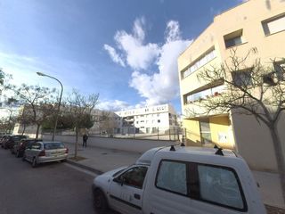 Pis  Carrer de l'eucaliptus 13. Piso en palama