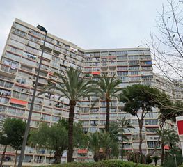 Studio  Avenida de parís 12. Estudio en benidorm